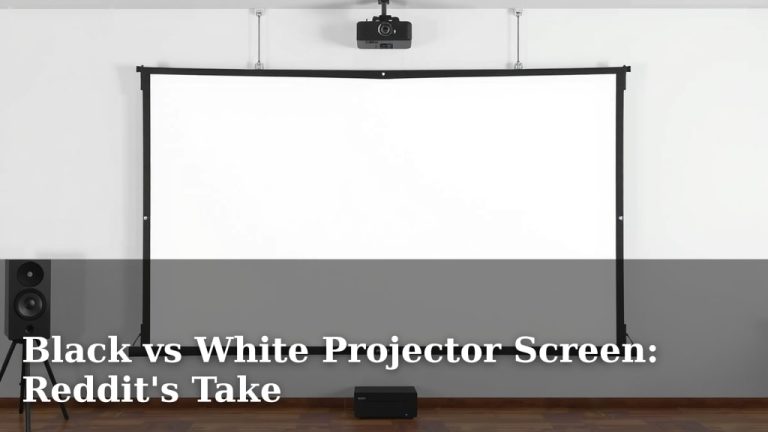 Black vs White Projector Screen: Reddit's Take