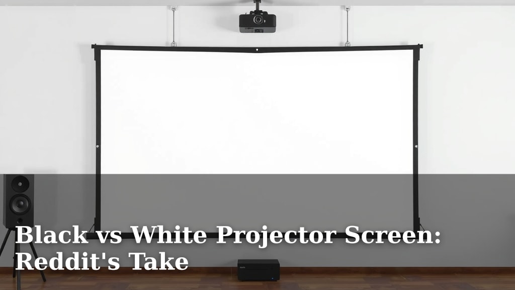 Black vs White Projector Screen: Reddit's Take